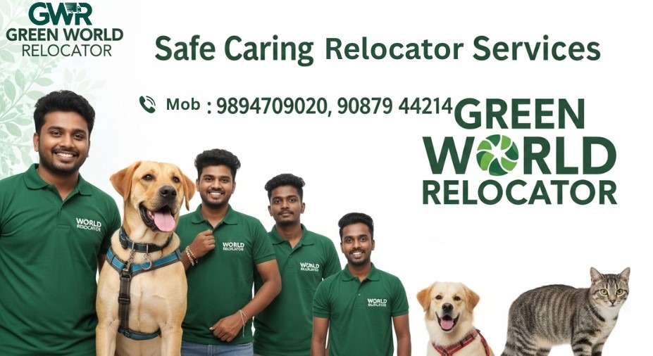 Safe and caring pet relocation services in Chengalpattu.